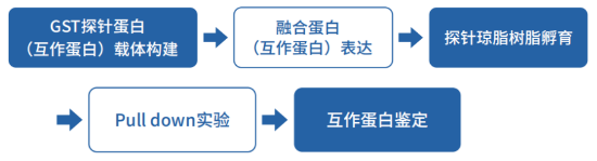 知无不「研」，一文读懂分子互作（核酸互作、蛋白互作、核酸-蛋白互作）！