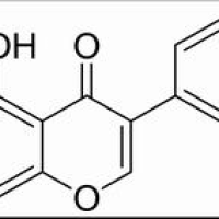 446-72-0/	 染料木素,分析标准品,HPLC≥98%