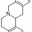 7461-02-1/ 四氢黄连碱 ,分析标准品,HPLC≥98%