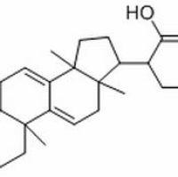 29220-16-4/	 松苓新酸 ,分析标准品,HPLC≥98%
