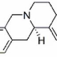 522-97-4/	 四氢小檗碱 ,分析标准品,HPLC≥98%