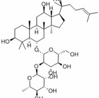 52286-74-5/人参皂苷Rg2 ,分析标准品,HPLC≥98%