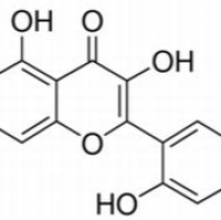 480-16-0/	 桑色素 ,分析标准品,HPLC≥98%