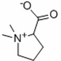 471-87-4/水苏碱 ,分析标准品,HPLC≥98%