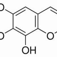 574-84-5/秦皮素 ,分析标准品,HPLC≥98%