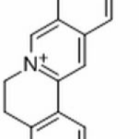 25459-91-0/ 去亚甲基小檗碱 ,分析标准品,HPLC≥96%