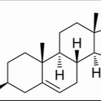 53-43-0/	 去氢表雄酮,分析标准品,HPLC≥98%