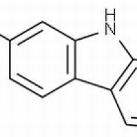 442-51-3/	 去氢骆驼蓬碱 ,分析标准品,HPLC≥98%