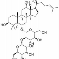 52286-58-5/	 人参皂苷Rf ,分析标准品,HPLC≥98%
