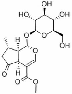 548-37-8/山茱萸苷,	分析标准品,HPLC≥98%