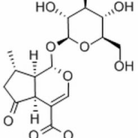 548-37-8/山茱萸苷,	分析标准品,HPLC≥98%