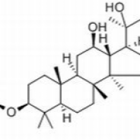 78214-33-2/	 (S型)人参皂苷Rh2 ,分析标准品,HPLC≥98%