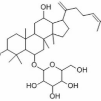 364779-15-7/人参皂苷Rk3 ,分析标准品,HPLC≥98%