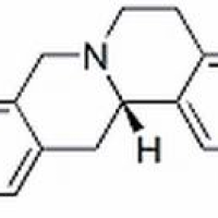483-34-1/ 四氢非洲防己碱 ,分析标准品,HPLC≥95%
