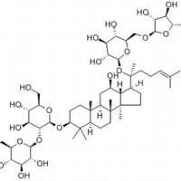11021-14-0/人参皂苷Rc,	分析标准品,HPLC≥98%