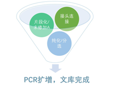 干货分享|酶切法DNA建库“十问实答”，助您建库无忧