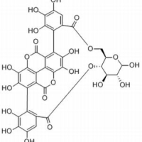 65995-64-4.石榴皮鞣素 ,分析标准品,HPLC≥98%
