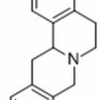 38853-67-7/四氢表小檗碱 ,分析标准品,HPLC≥98%