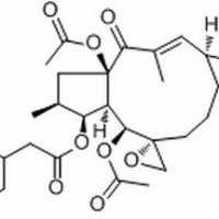 28649-59-4/千金子甾醇 ,分析标准品,HPLC≥98%