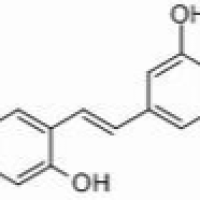 102841-42-9/	 桑皮苷A,	分析标准品,HPLC≥98%