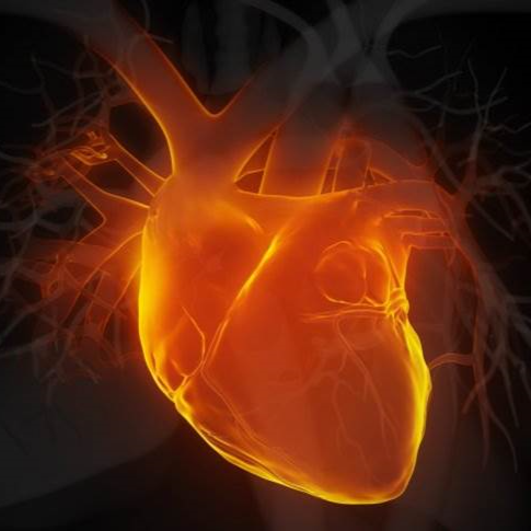 心血管系统药理学