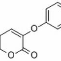 2034-69-/7	 西瑞香素 ,分析标准品,HPLC≥98%