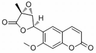 产品细节图片1