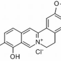 15401-69-1/	 小檗红碱 ,分析标准品,HPLC≥98%
