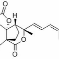 82508-32-5/土荆皮甲酸, 分析标准品,HPLC≥98%