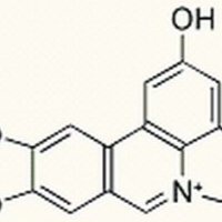 72510-04-4/氧化石蒜碱 ,分析标准品,HPLC≥98%