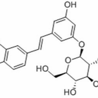 155-58-8/ 土大黄苷 ,分析标准品,HPLC≥98%