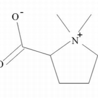 4136-37-2/	 盐酸水苏碱,分析标准品,HPLC≥98%