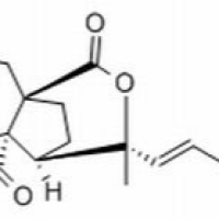 82508-31-4/	 土荆皮乙酸 源,析标准品,HPLC≥98%