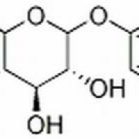 21082-33-7/苔黑酚葡萄糖苷 ,分析标准品,HPLC≥98%