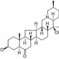 61825-98-7/西贝母碱,分析标准品,HPLC≥98%