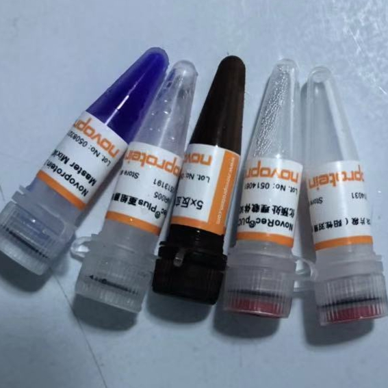 NovoRec® plus One step PCR Cloning Kit