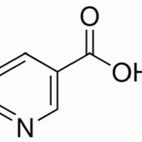 59-67-6/ 维生素B3,分析标准品,HPLC≥99%