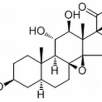 80508-42-5/ 通光藤甙元乙 ,分析标准品,HPLC≥98%
