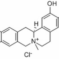 104112-82-5/ 盐酸黄柏碱 ,分析标准品,HPLC≥98%