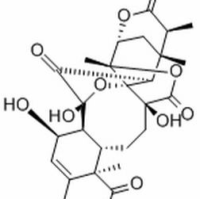 113146-74-0/酸浆苦味素L ,分析标准品,HPLC≥95%