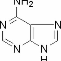 73-24-5/腺嘌呤,分析标准品,HPLC≥98%