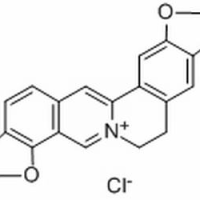 6020-18-4.	 盐酸黄连碱 ,分析标准品,HPLC≥98%