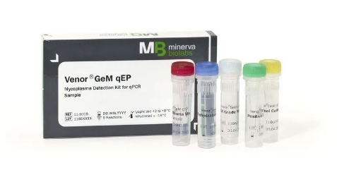 支原体 qPCR 检测金标准