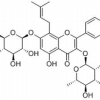 489-32-7/	 淫羊藿苷 ,分析标准品,HPLC≥98%