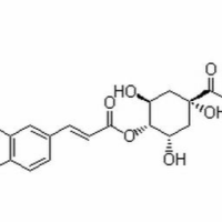 905-99-7/ 隐绿原酸,分析标准品,HPLC≥98%