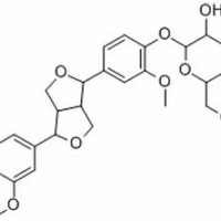 69251-96-3/ (+)松脂素-β-D-吡喃葡萄糖苷 ,分析标准品,HPLC≥98%