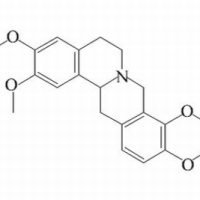 3520-14-7/右旋四氢巴马汀 ,分析标准品,HPLC≥98%
