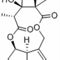 315-22-0/	 野百合碱,分析标准品,HPLC≥99%