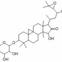 402513-88-6/ 乙酰升麻醇-3-O-α-L-阿拉伯糖苷 ,分析标准品,HPLC≥98%