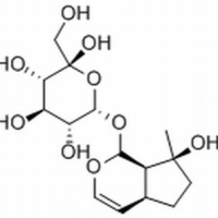 52949-83-4/	 益母草苷 ,分析标准品,HPLC≥98%